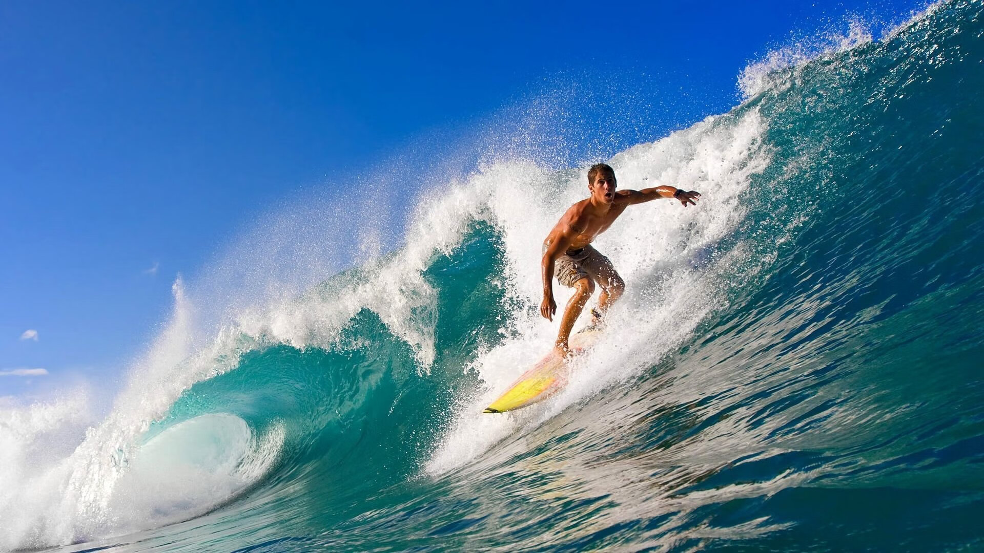 全红婵和陈芋汐争夺跳水金牌，实力强劲，全红婵陈芋汐决赛